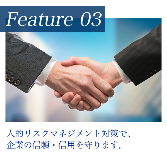 Feature 03